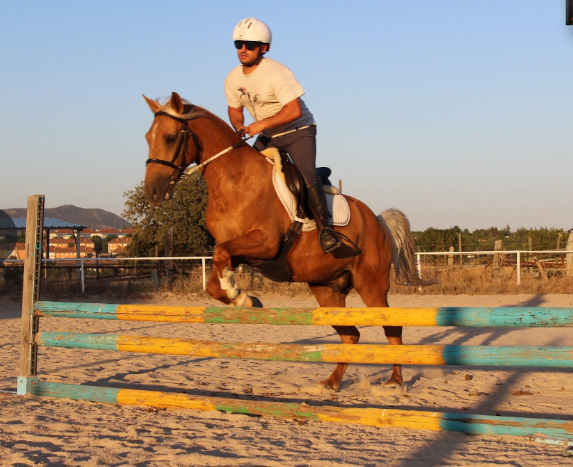 Escuela de equitación para todos los niveles en Galapagar, Collado Villalba y alrededores