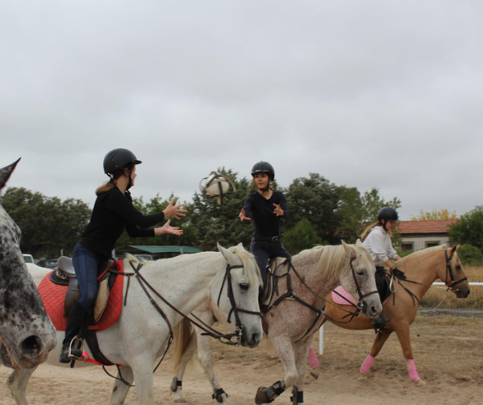 Hípica para paseos a caballo por Galapagar, El Escorial y alrededores