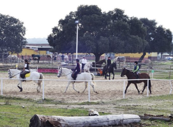 Escuela de equitación para todos los niveles en Galapagar, Collado Villalba y alrededores