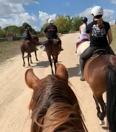 Rutas a caballo en Galapagar